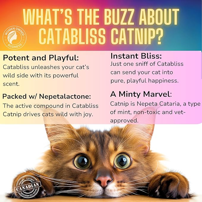 Catnip: Where Every Sprinkle is a Journey to Delight, 2oz Enjoy Sifted Catnip for Cats, Designed for use Loose on The Floor or Easy Refill Catnip Toys.