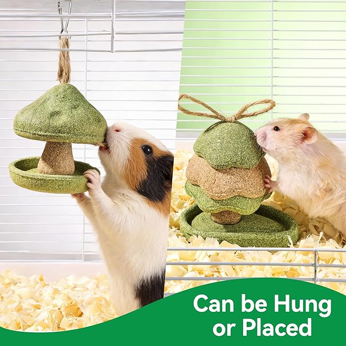 2 Pack Guinea Pig Chew Toys, Prevent Teeth Overgrowth, Rabbit Chew Toys, Natural Treats for Rabbit/Hamster Toys, Natural Timothy Grass & Vegetables, Small Animal Toys for Habitat Decoration