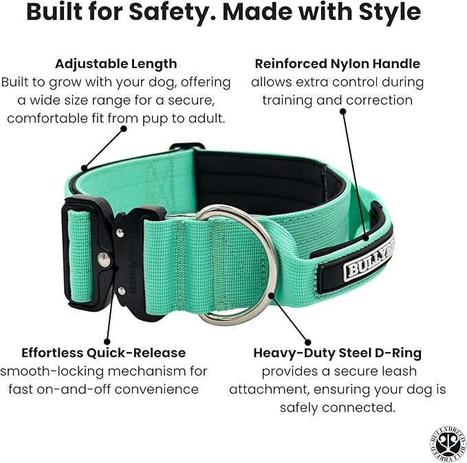 Heavy Duty Dog Collar, Tactical Dog Collar, Dog Collar for Large Dogs, Waterproof Dog Collar, Dog Training Collar, Quick-Release Metal Buckle, Adjustable Sizes – BULLYBREED (Aquamarine, Large)