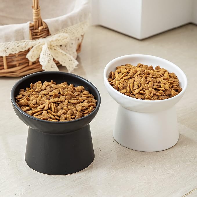 4 Pcs Small Ceramic Raised Cat Bowls, Tilted Elevated Food or Water Bowls, Stress Free, Backflow Prevention, Dishwasher and Microwave Safe, Lead & Cadmium Free(2pc Black + 2pc White)