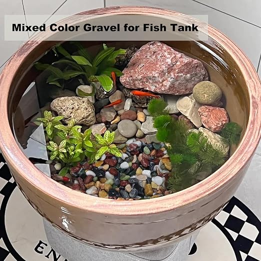 5 LB Mixed Gravel 0.5 Inch for Plants, Fish Tanks & Landscaping | Mixed Decorative Gravel & Pebbles for Plants, Aquariums, Vases, Landscaping & Indoor Décor