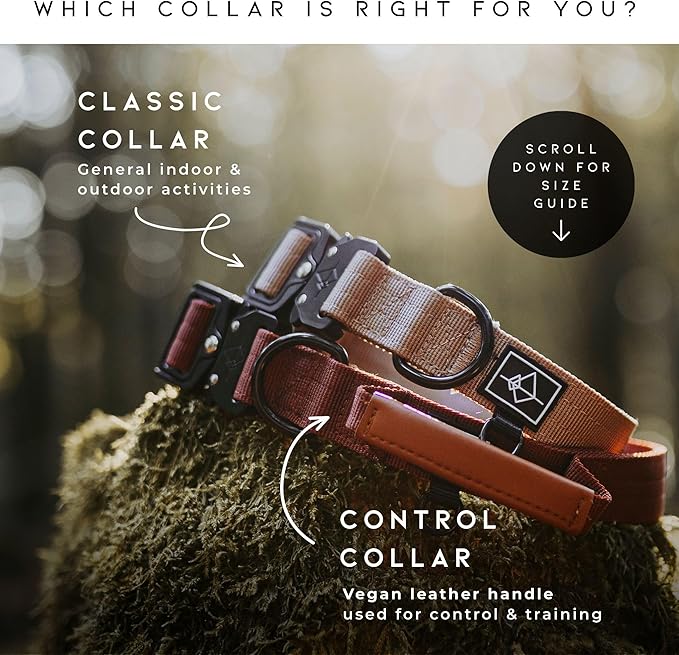 Made to ROAM Premium Dog Collar - Adjustable Heavy Duty Nylon Collar with Quick-Release Metal Buckle (Arizona Sunkissed, Classic Size 5)