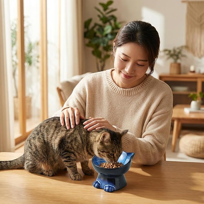 Nihow Slanted Elevated Cat Bowls: 6.25 Inch Ceramic Raised Cat Food Bowl for Protecting Pet's Spine - Microwave & Dishwasher Safe -Elegant Blue & Black (6.8 OZ /1 PC)