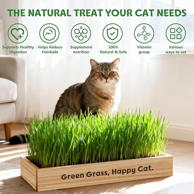 LUOJIBIE Cat Grass Kit for Indoor Cats, Cat Grass Seeds Set, Non-GMO Wheat Grass, Mother' s Day Gifts for Mom, Unique Christmas Birthday Gifts for Women Men Girl, House Warming Gifts for Cat Lover