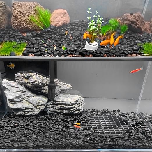 Black Pebbles for Indoor Plants 3.5 LB Small River Rocks 1"-1.5" Polished Decorative Stones Smooth Aquarium Gravel for Fish Tank Vases Planters Outdoor Landscaping Garden (56oz)