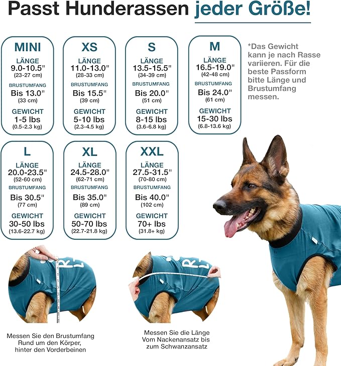 BellyGuard Dog Surgery Recovery Suit, Dog Onesie for Post-Op Care, Recovery Apparel for Female and Male, Surgical Body Cover for Canine Healing Support