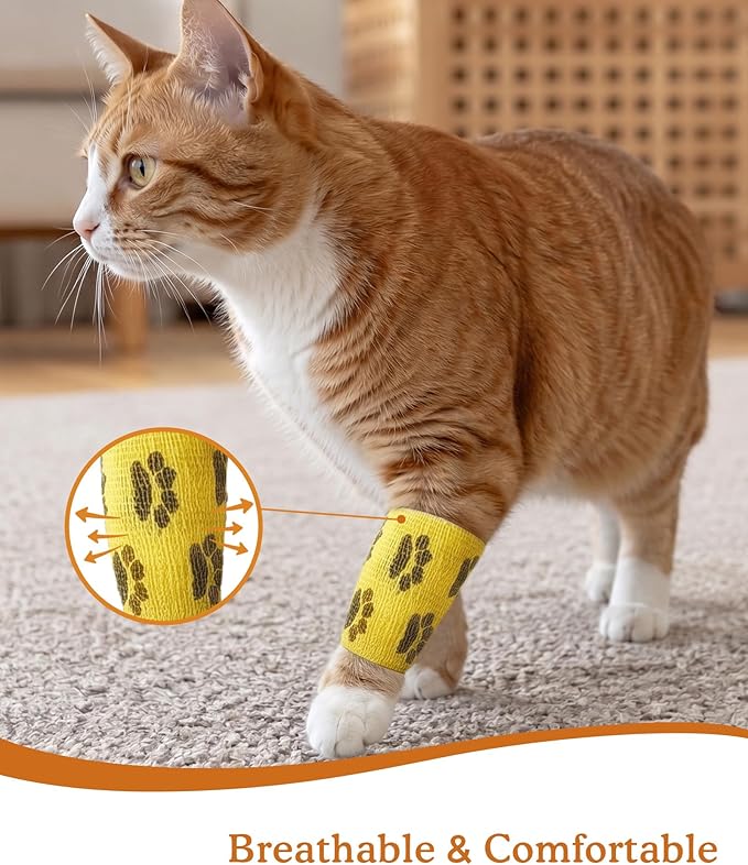 2 Inch Self Adhesive Bandage Vet, First Aid for Dogs Cats Horses, Great for Paws, Legs & Tails, Individually Wrapped, 8 Rolls, Daybreak Paw