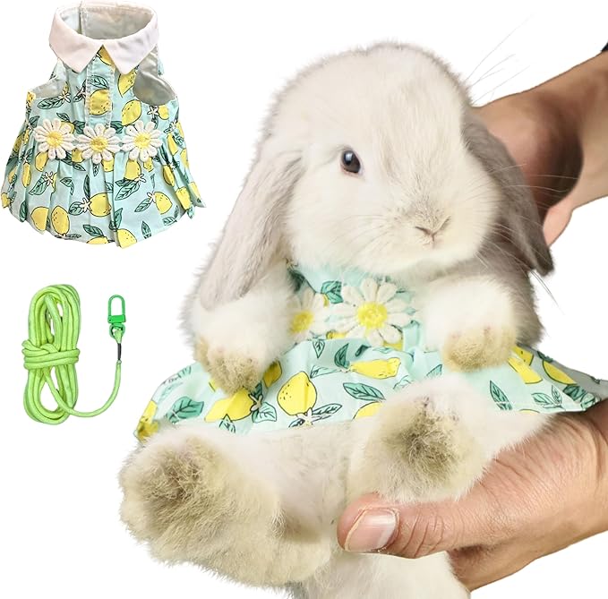 SMOLKITH Rabbit Clothes - Bunny Adjustable Summer Lemon Print Dress with Leash, Small Animal Apparel for Walking - Fits Meerkats, Chinchillas, Guinea Pigs, Marmots and More