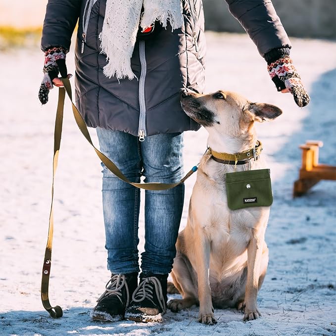 Dog Treat Pouch – Dog Training Pouch with Waterproof Oxford Fabric, Hands-Free Design, Carabiner Clip, Front Pocket, Self-Closing for Outdoor Walks & Puppy Training (Green)