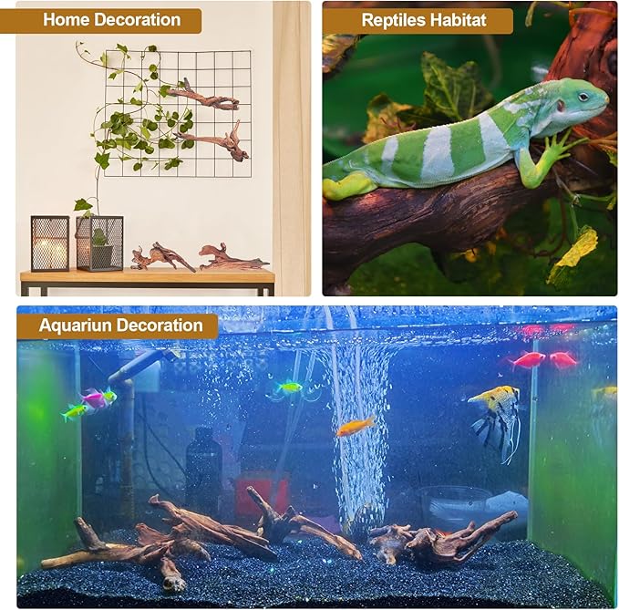 Natural Driftwood Decor for Aquarium Decorations Reptile Tank Accessories, Assorted Wood Branches Decorations on Reptile Fish Tank 2-10" 2 Pcs/4 Pcs/ 5 Pcs/ 6 Pcs (Pack of 4 (5. to 8 Inch))