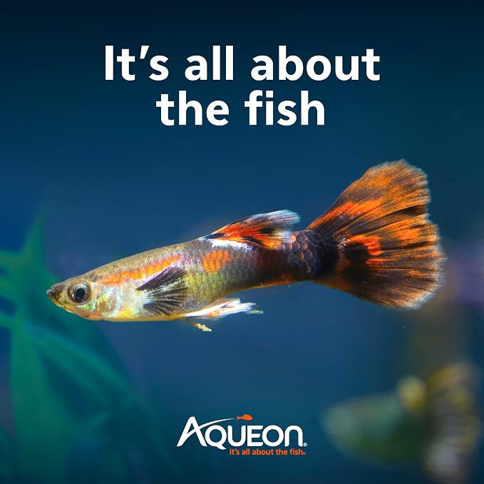 Aqueon SmartClean Power Filter with EcoRenew Filter Cartridge, Quick and Easy Water Changes, Quiet Operation, Adjustable Flow, for 30-50 Gallon Freshwater and Saltwater Aquariums, Large