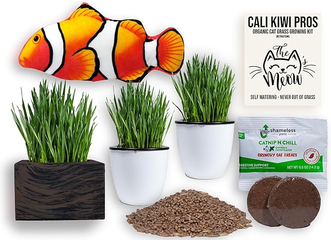 Cat Grass for Indoor Cats – Organic Grass Kit with Interactive Flippy Fish Toy (Wicker Brown)