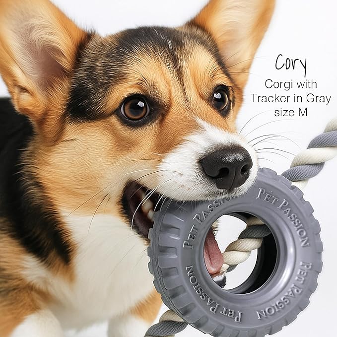 Pet Passion Natural Rubber Tire and Organic Cotton Rope Pull and Chew Dog Toy for All Pet Breeds, Gray, Medium