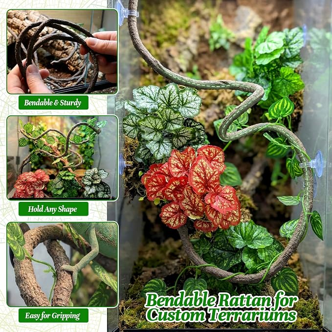 5 Pc Reptile Plants & Habitat Decor Kit - 3 Artificial Plants & Large 3.3ft Jungle Vine Branch, Amphibian Habitat Hideout Decor Accessories for Crested Gecko, Bearded Dragon, Lizard, Snake,Hermit Crab