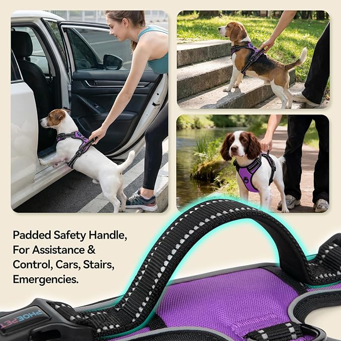 PHOEPET Reflective Dog Harness No Pull Large Breed Vest with 2 Metal Leash Attachment Hooks(L, Purple)