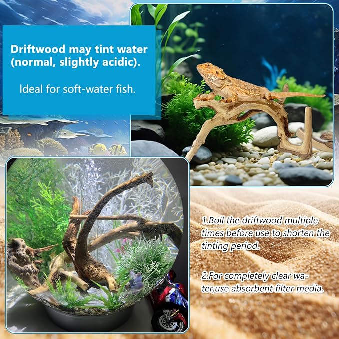 3 PCS Large Natural Spider Wood for Aquarium 10-12", Aquarium Drift Wood, Assorted Size Spider Wood, Twisted Branches Trunk for Fish Tank, Aquascaping, Reptile Climbing Branch, Terrarium Decor