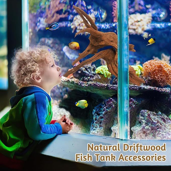 kathson Natural Large Aquarium Driftwood Decoration Branches Reptiles Terrarium Ornament Wood Fish Tank Habitat Decor Assorted Sizes Wood 2 PCS (10"-14")