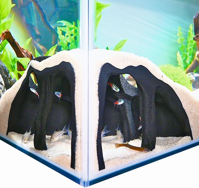 Aquarium Corner Underground Cave Natural Mangrove Tree | Viewing Fish Under Gravel Tunnel Hide | Fish Tank Hideout Decor Decoration Enrichment for Corydora Catfish, Kuhli Loach, Pleco, Betta