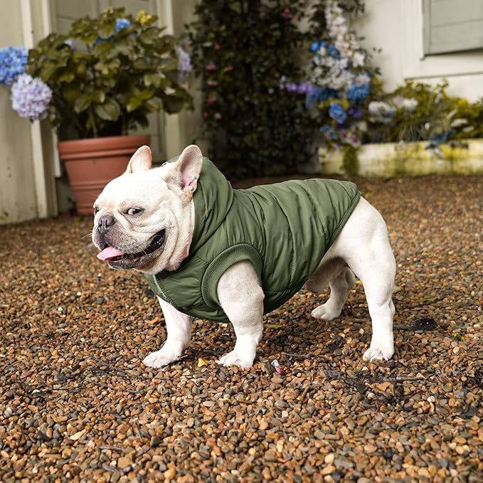 Vecomfy Fleece Lining Extra Warm Dog Hoodie in Winter for Small Dogs Jacket Puppy Coats with Hooded Green M