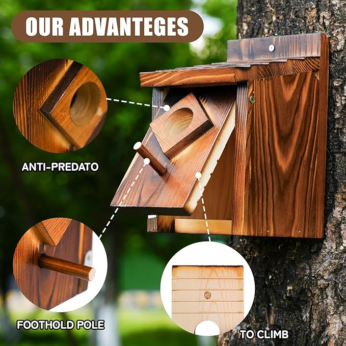 Waterproof Wooden Blue Bird House, Weather Treated Bluebird Box Houses for Outdoors, Nesting Box for Wrens, Swallows, Finches, Chickadee (Wood)