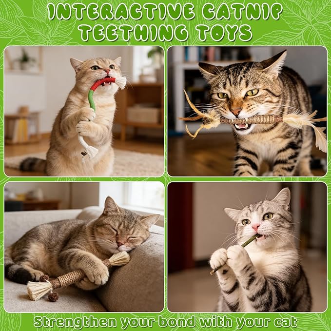 Silvervine Sticks for Cats & Cat Chew Ropes Cat Chew Toys for Indoor Cats Kitten Teething Toys for Dental Cleaning Teeth with Natural Catnip Bag, Increase Appetite, Enhances Oral & Dental Health,14PCS