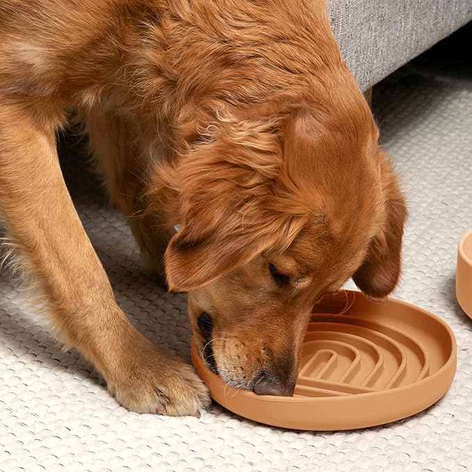 Should We Go? Slow Feeder for Dogs & Puppies, The Slowdown Bowl Silicone Slow Eating, Lick Mat Design, Reduces Gulping, Fits 2.5 Cups, 9.5” Across x 1.5” Tall, Mealtime Challenge, Large-Terracotta