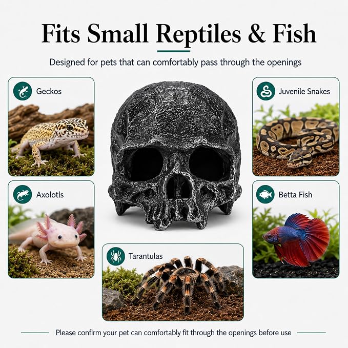 Skull Terrarium Decor Reptile Hideout for Tank(White) | Realistic Resin Skull Hideouts,Decorative Skeleton Head Caves for Betta Fish Juvenile Ball Python Gecko Tarantula