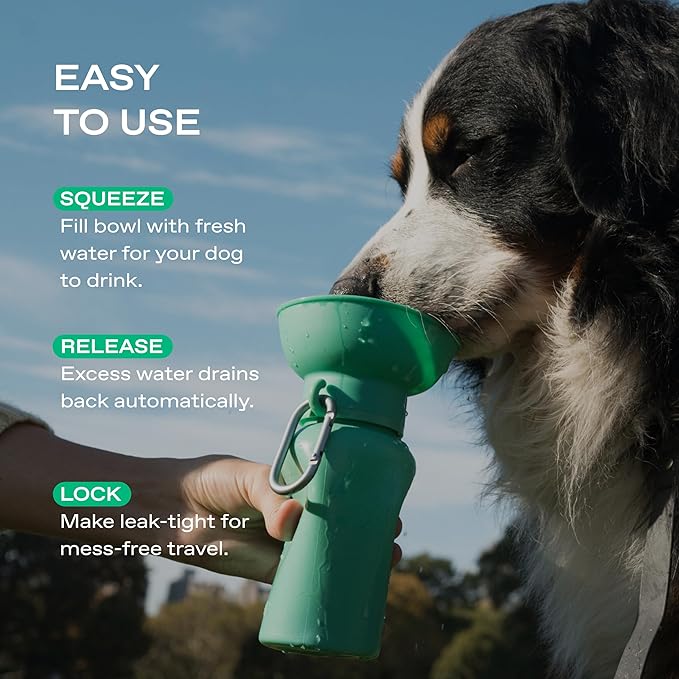 Springer Flip Dog Water Bottle | Portable Drinking Feeder with Foldable Food-Grade Silicone Bowl | One-Hand Squeeze & Leak-Proof | BPA-Free 20oz | Walking, Hiking & Camping | Puppy Essentials