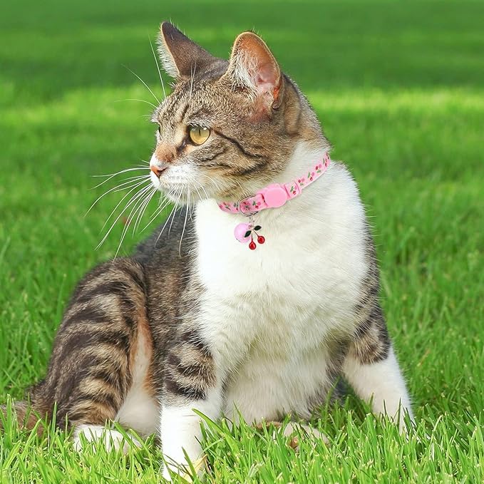 BINGPET Breakaway Cat Collar with Bell, 3 Pack Cat Collars for Girl Cats, Cute Kitty Collars Accessories with Pineapple & Cherry & Strawberry