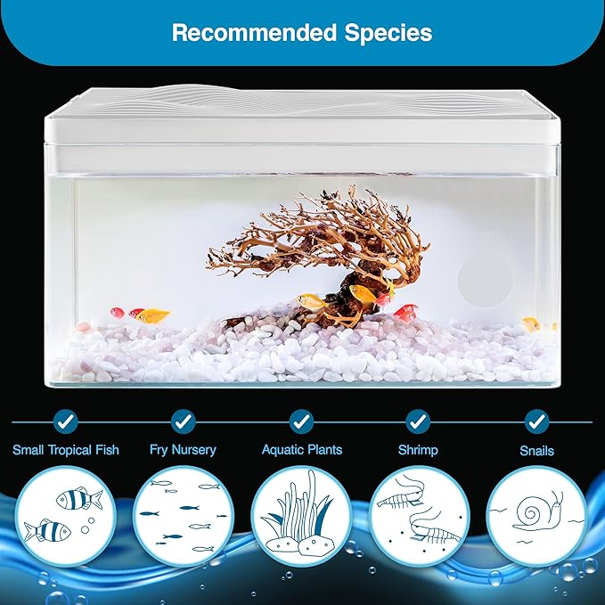 Harmony Deluxe 8 Gallon All-in-One Aquarium Kit, Award-Winning Fish Tank with Lid, Integrated Filtration, LED Light, Low-Iron Glass, White Tank with Cedar Grain Top