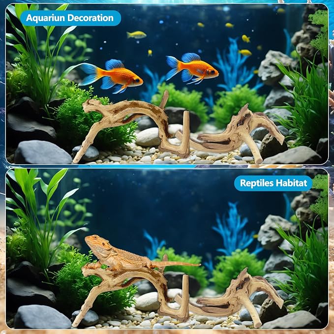 10 Pcs Large Natural Spider Wood for Aquarium 4-6", Aquarium Drift Wood, Assorted Size Spider Wood, Twisted Branches Trunk for Fish Tank, Aquascaping, Reptile Climbing Branch, Terrarium Decor