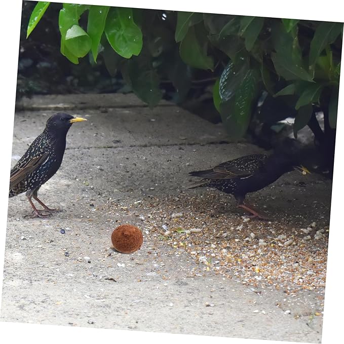 5Pcs Bird Mineral for Parrots Natural Chewing Stone for Beak Health Essential Bird Cage Accessories for Calcium Digestion Support