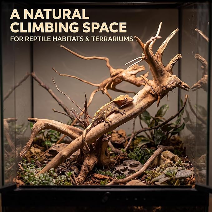 2Pcs Aquarium Driftwood Branches Natural Wood Reptiles Trunk Wood Fish Tank Decoration Plant Stump Ornament Landscaping, Fish Tank Decoration, 8-10cm