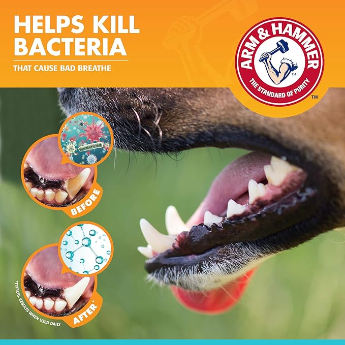 Arm & Hammer for Pets Enzymatic Dog Dental Care Kit, Chicken Flavor Toothpaste with Baking Soda for Plaque, Tartar, and Bad Breath, Double-Sided Toothbrush and Finger Brush Included, 2.5 Oz - 48 Pack