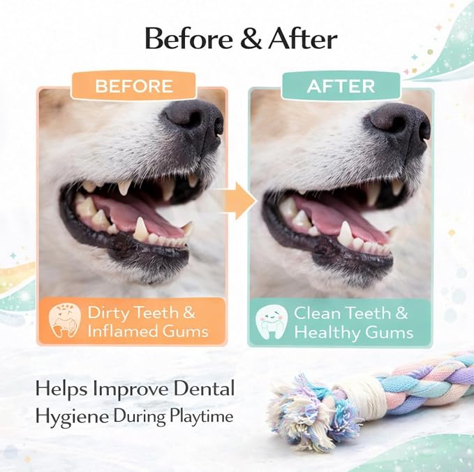 Dog Rope Toy – Eco-Friendly Durable Cotton Dog Chew Toy for Aggressive Chewers & Puppies – Interactive Molar Teeth Cleaning, Perfect for Small & Medium Dogs (10in), Safe, Non-Toxic, Fun Play