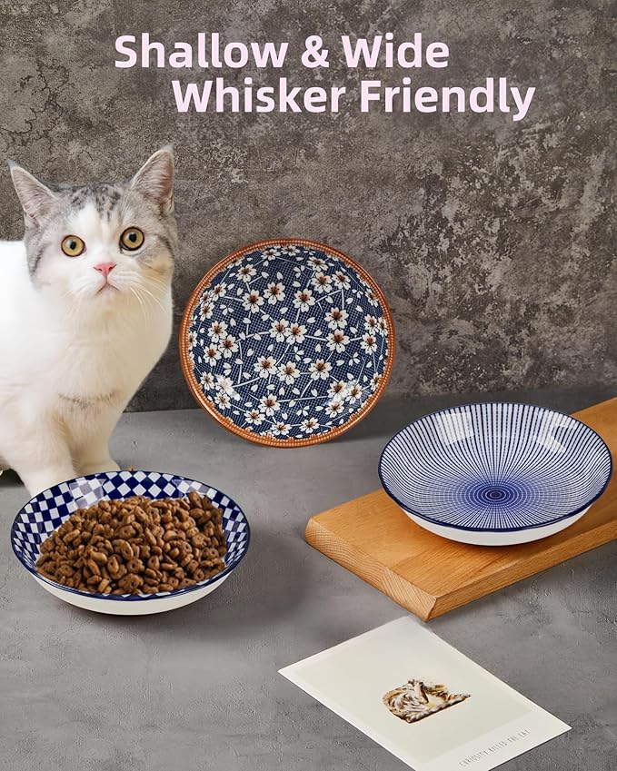 3 Pack Non-Slip Cat Bowl, No Spill Ceramic Cat Food Bowls, 5.5" Whisker Friendly Cats Dish Set for Indoor Cats, Shallow Wide Kitten Dishes for Food, Boho Kitten Bowls with Silicone Bottom