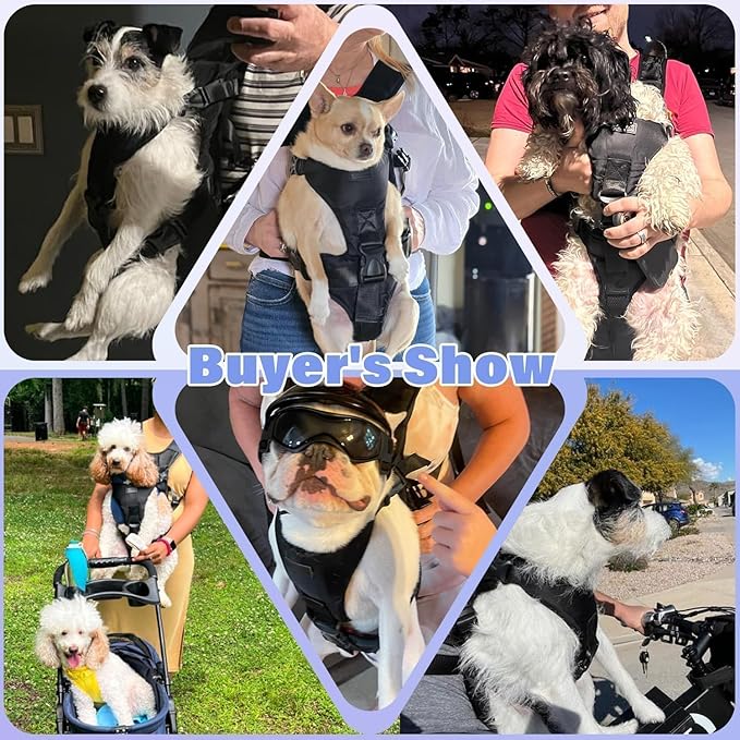 YUDODO Front Pet Carrier Backpack for Small Dogs and Cats, Secure and Breathable Mesh, Ergonomic Support, Adjustable for Walking, Hiking, or Travel (Blue M)