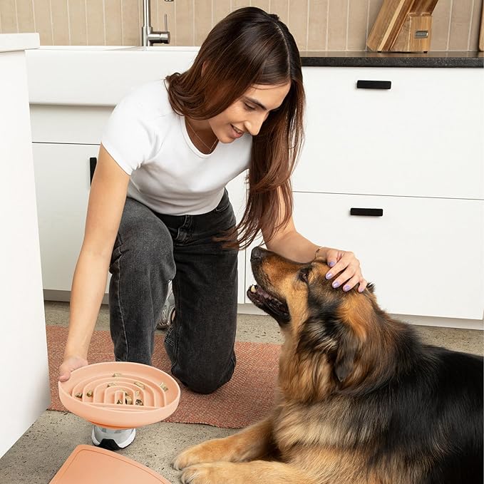 Should We Go? Slow Feeder for Dogs & Puppies, The Slowdown Bowl Silicone Slow Eating, Modern Lick Mat Design, Reduces Gulping, Fits 2.5 Cups, 9.5” Across x 1.5” Tall, Mealtime Challenge, Large-Blush