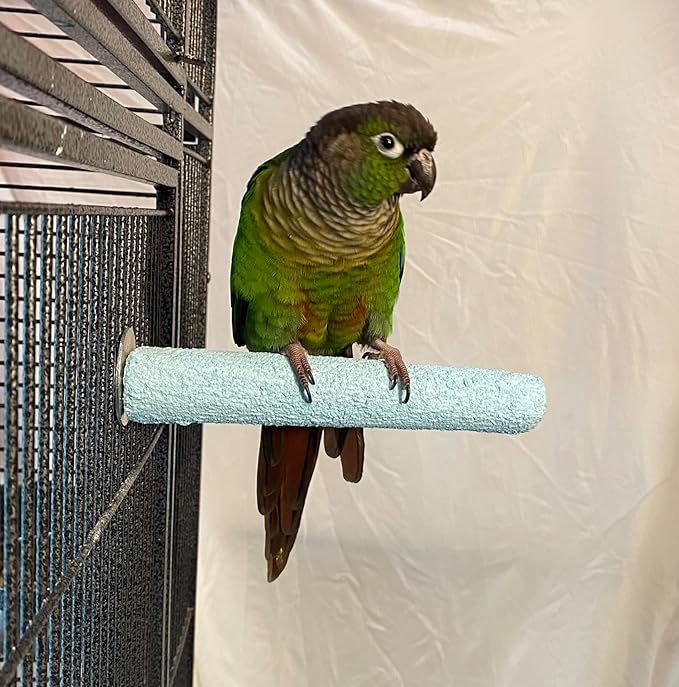 Polly's Pastels Nail Trimming & Beak Conditioning Safety Perch for Cockatiels, Cockatoos, Macaws, Parakeets, Budgies, Parrots and All Other Birds (Blue, Small-1" Dia. x 6" Long)