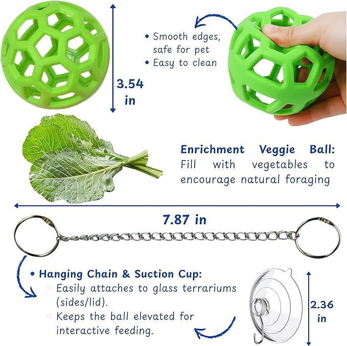 Bearded Dragon Enrichment Toys Feeding Tongs Accessories, Veggie Feeder Ball and Feeding Tongs with Rubber Tip, Greens Training Kit for Reptile Lizard Gecko, Reptile Tank Accessories (Green)