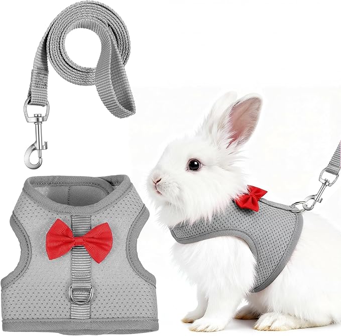 Breathable Soft Mesh Vest Harness & Leash Set for Rabbits, Bunny, Kitten, Ferret, Small Pig, Puppy, Small Pets – Gray, Medium