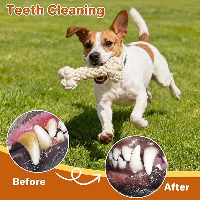 3 Pack Cotton Rope Dog Toy Set, Indestructible Chew Toys for Aggressive Chewers, Puppy Teething Toys with Bone, Human & Chinese Knot Designs for Boredom Relief & Tug of War， White