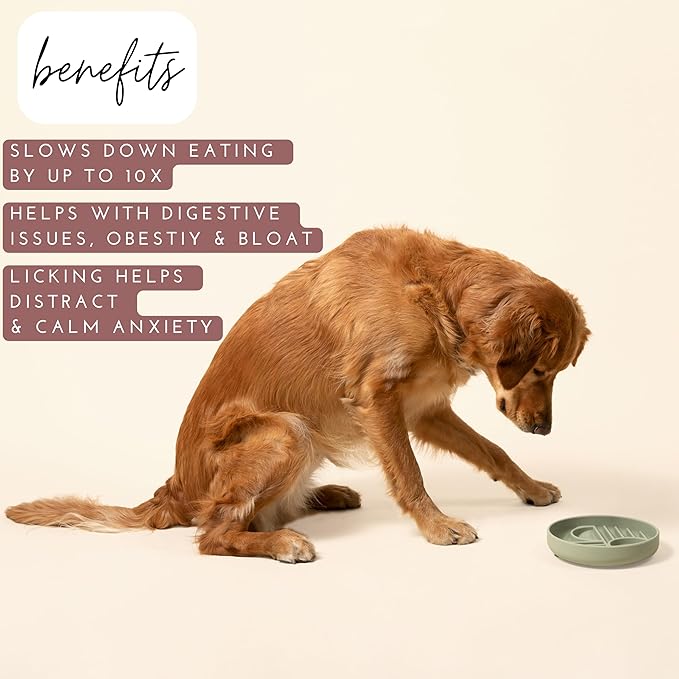 Should We Go? Slow Feeder for Dogs & Puppies, The Slowdown Bowl Silicone Slow Eating, Modern Lick Mat Design, Reduces Gulping, Fits 2 Cups, 7.5” Across x 1.5” Tall, Mealtime Challenge, Medium-Blush