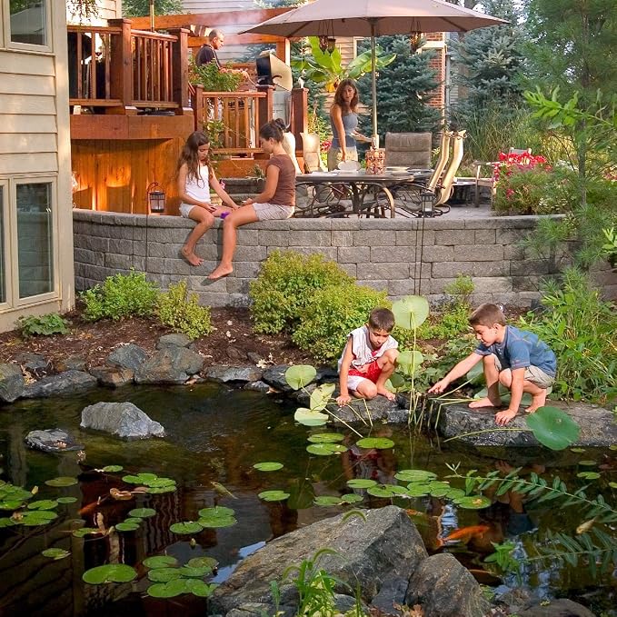 Aquascape Cold Water Beneficial Bacteria for Ponds, 1 Gal / 3.78 L – Maintains Clean and Clear Water in Cooler Temperatures – Safe for Koi, Fish, and Plants, 96021