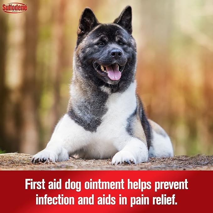 Sulfodene Dog Wound Care 3-Way Ointment, Relieves Pain & Prevents Infection for Dog Cuts, Scrapes, Bites and Injuries, 2 Ounce (Pack of 2)