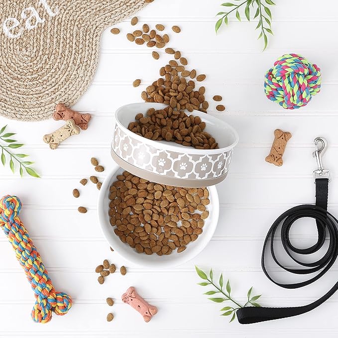 Bone Dry Lattice Collection Pet Bowl & Canister, Large Set, 7.5x2.4 inches, Stone, 2 Piece