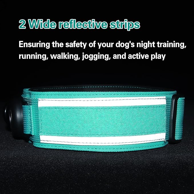 AirTag Dog Collar, 2" Wide Tactical Military Dog Collar with AirTag Holder & 3 Pet Patches, Soft Padded Reflective Waterproof Nylon Collar with Metal Buckle for Medium Dogs (Teal, M)