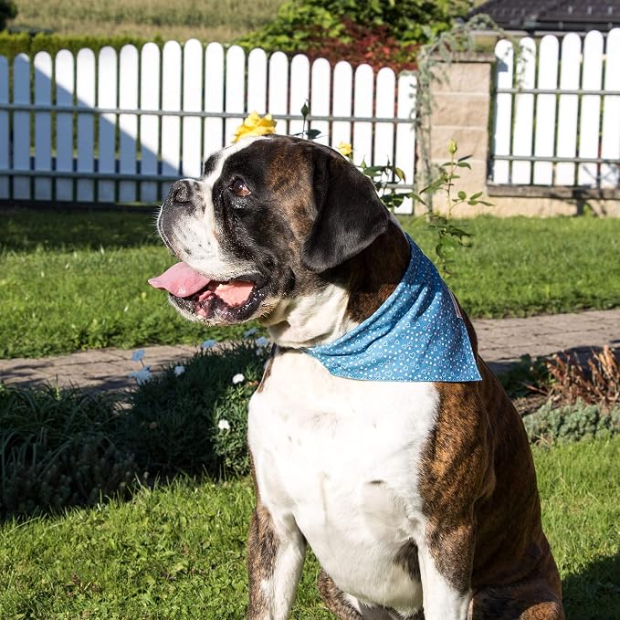 Pettsie Hemp Dog Bandana Collar & Matching Owner Friendship Bracelet | Soft & Durable Hemp, Removable Scarf, Matching Owner Friendship Bracelet, Gift-Ready Set