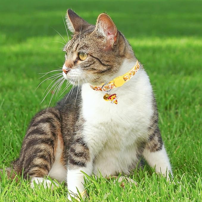 BINGPET Christmas Breakaway Cat Collar with Bell,3 Pack Cat Collars for Girl Cats, Cute Kitty Collars Accessories with Donut & Sushi & Pizzas(Yellow/Pink/Blue)