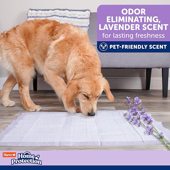 Hartz Home Protection Super Absorbent Odor Eliminating Lavender Scented No Leak Dog Pads,XL 30 count